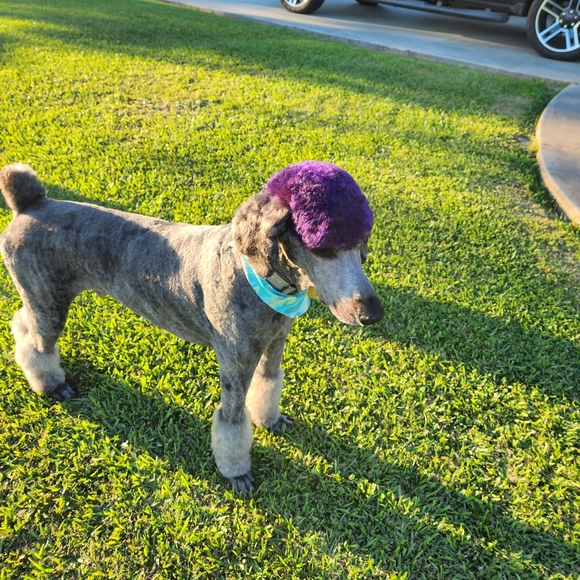 🔥🔥🔥🔥🔥PRETTYFANCY IS LIVE!!🔥🔥🔥🔥🔥 - Picture 3 of 3